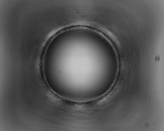 X0000101451264200807071357