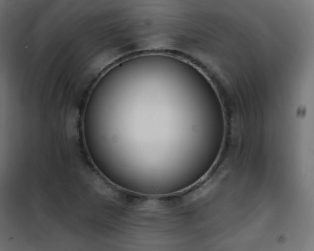 X0000101451265200807071357