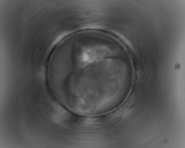 X0000101451266200807071356