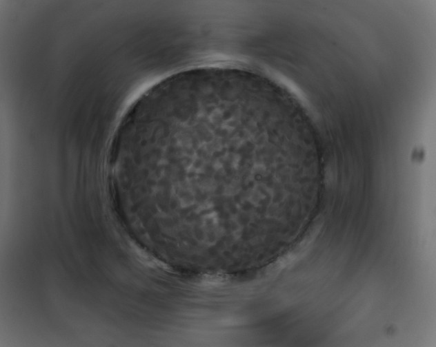 X0000101451267200807071356