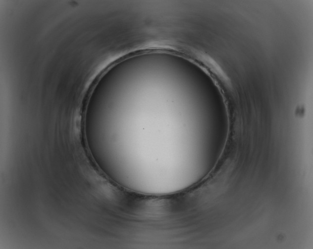 X0000101451268200807071356