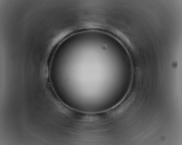 X0000101451269200807071356