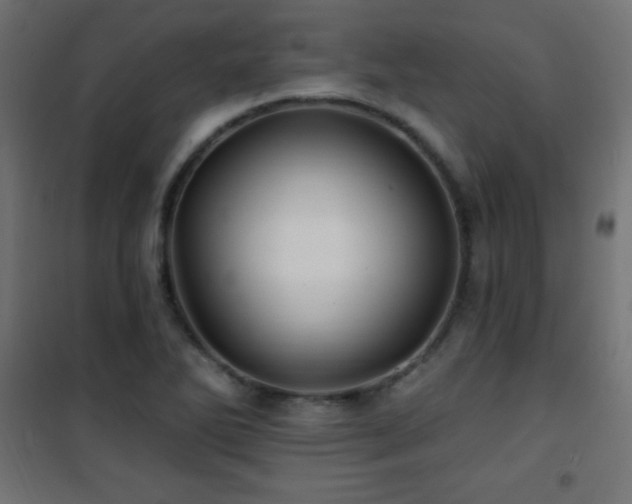 X0000101451270200807071356