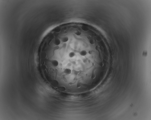X0000101451271200807071356