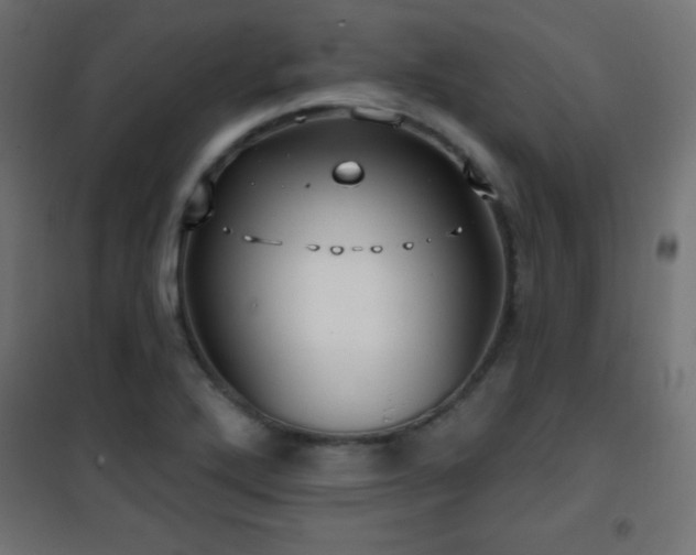 X0000101451272200807071356