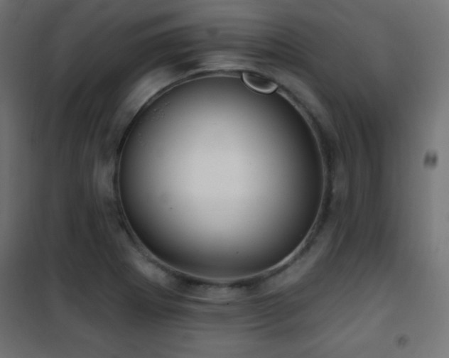 X0000101451273200807071356