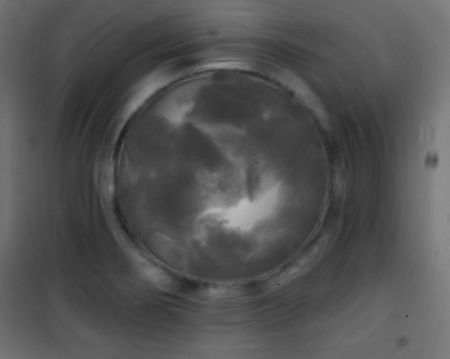 X0000101451274200807071356