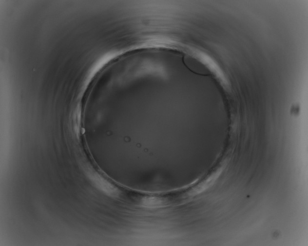 X0000101451275200807071356