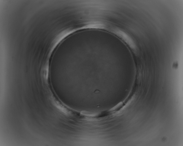 X0000101451276200807071356