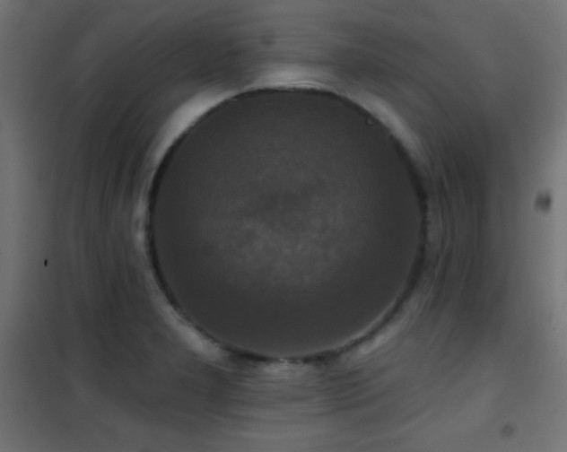 X0000101451277200807071356