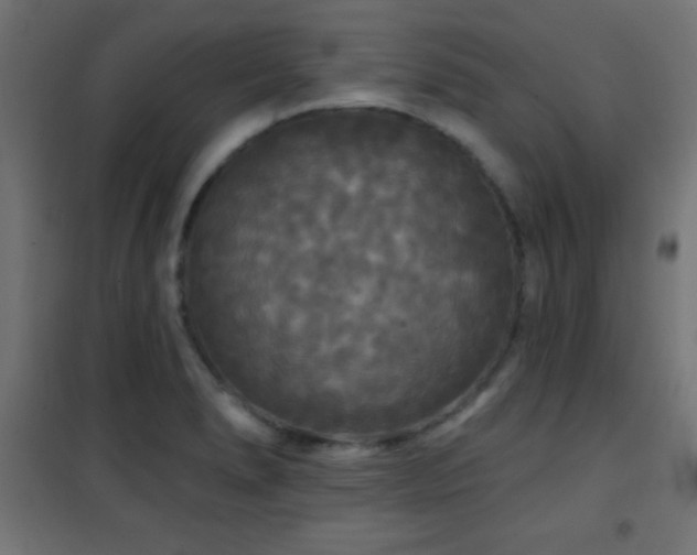 X0000101451278200807071356