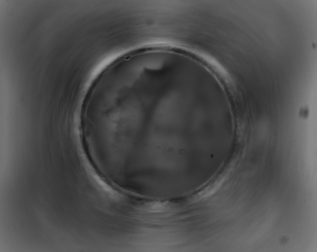X0000101451279200807071356