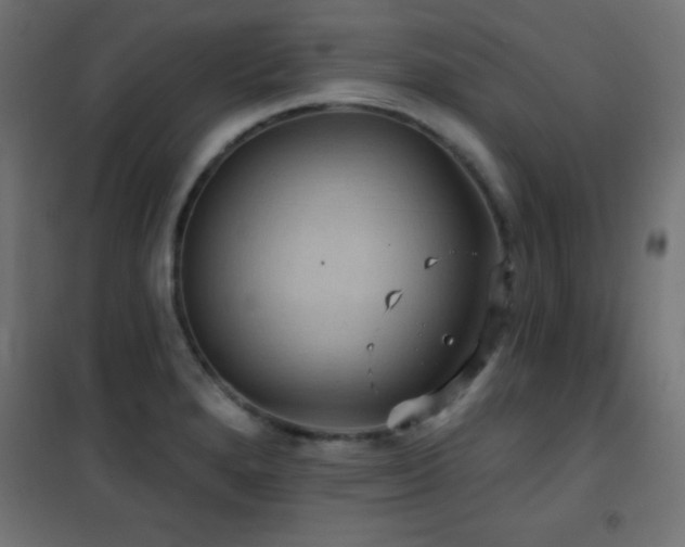 X0000101451280200807071356