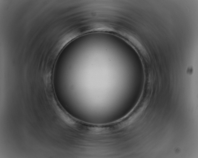 X0000101451281200807071356
