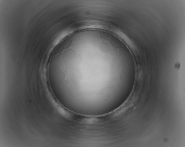 X0000101451282200807071356