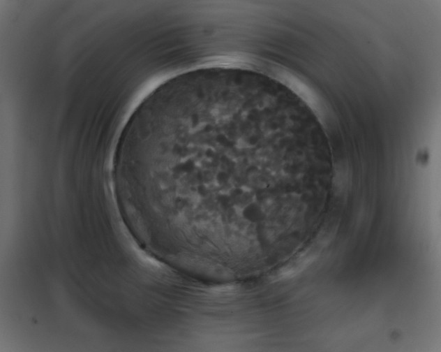 X0000101451283200807071356