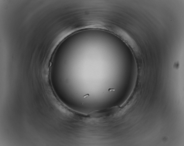 X0000101451284200807071356