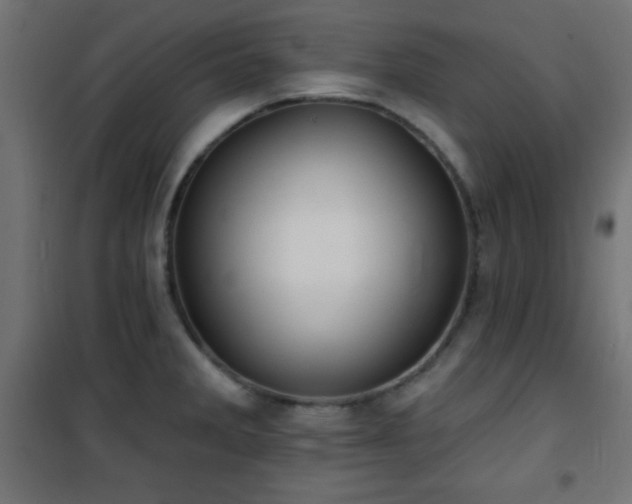 X0000101451285200807071356