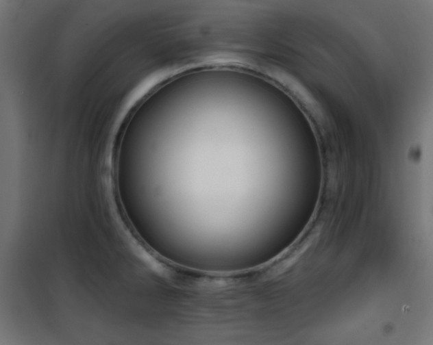X0000101451286200807071356