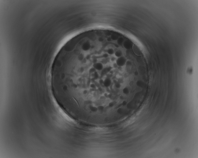 X0000101451287200807071356