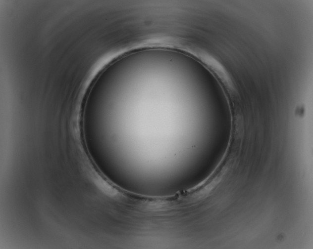 X0000101451288200807071356