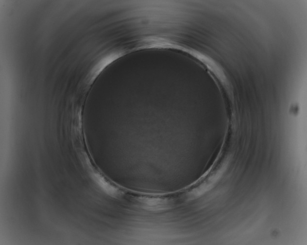 X0000101451289200807071356