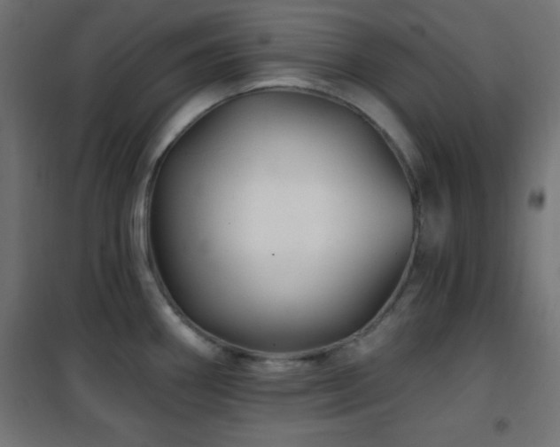 X0000101451290200807071356