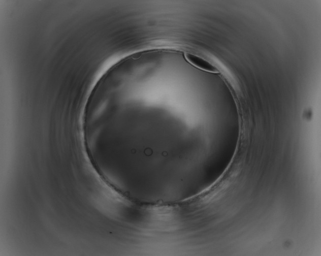 X0000101451291200807071356