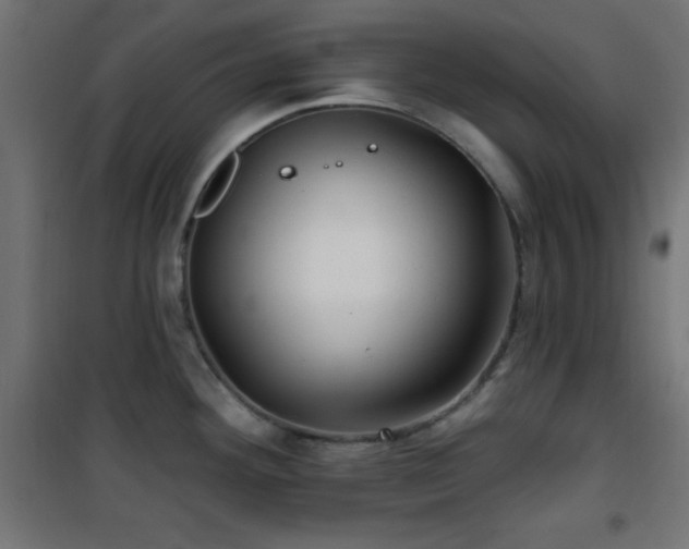 X0000101451292200807071356