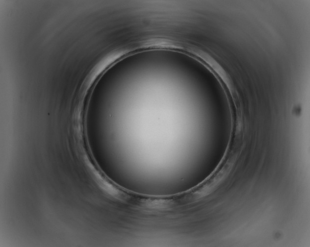 X0000101451293200807071356