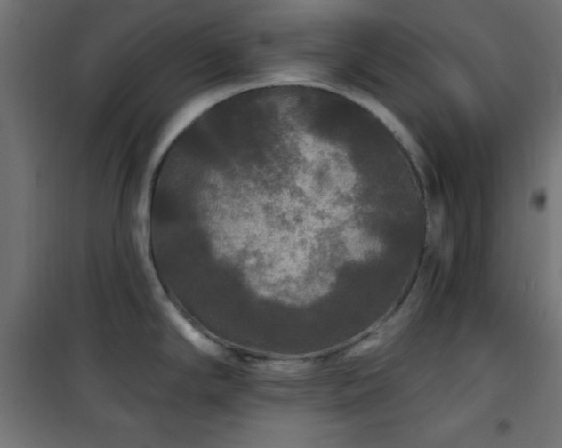 X0000101451294200807071356