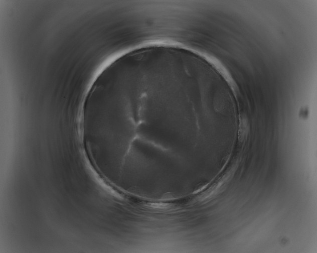 X0000101451295200807071356