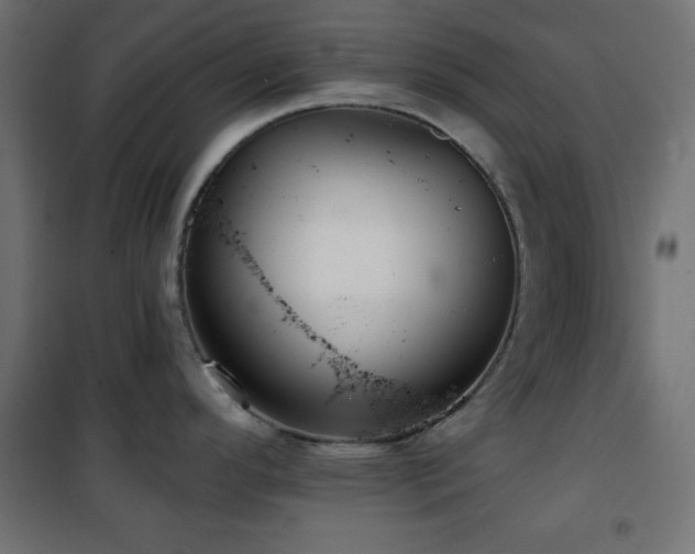 X0000101451296200807071356