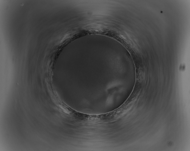 X0000101451297200807071355