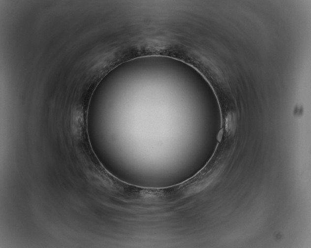X0000101451299200807071355