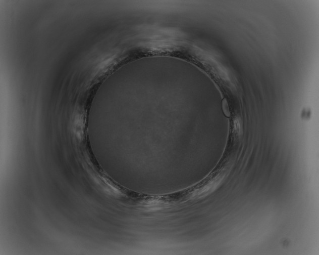 X0000101451300200807071355