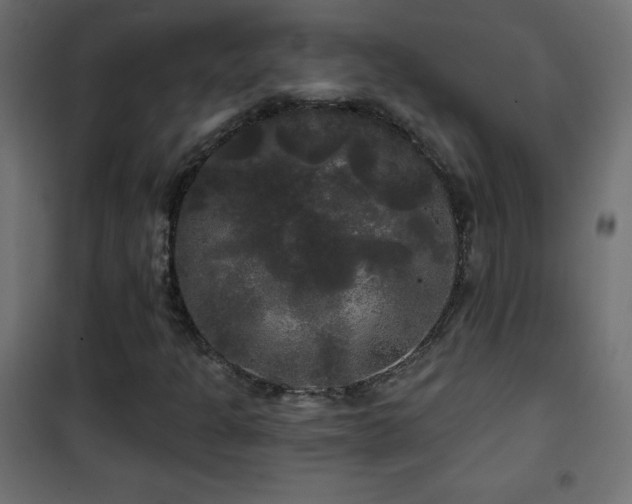 X0000101451301200807071355