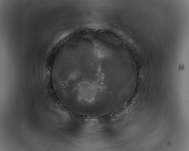 X0000101451302200807071355