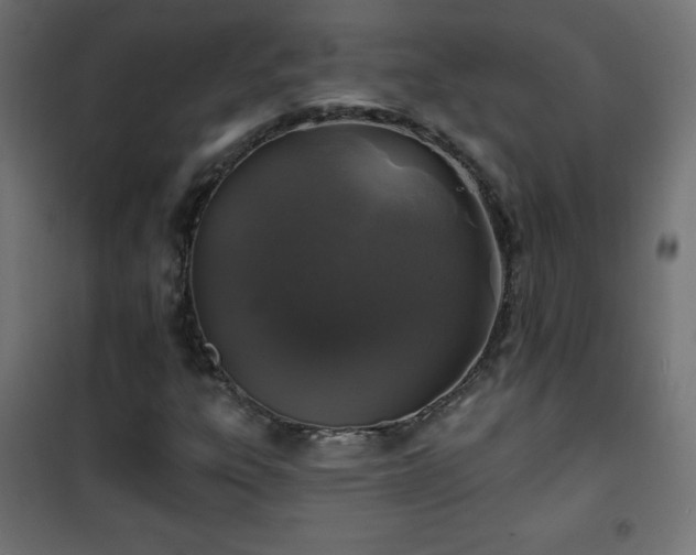 X0000101451303200807071355