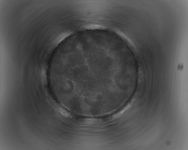 X0000101451305200807071356