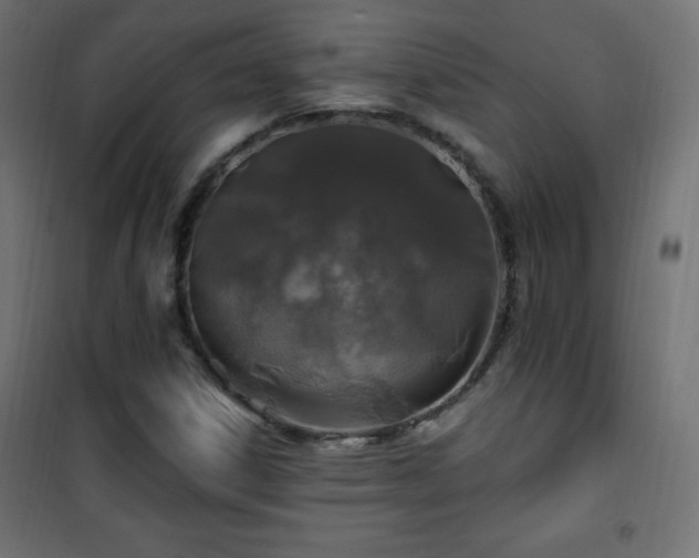 X0000101451306200807071356
