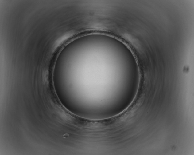X0000101451307200807071356
