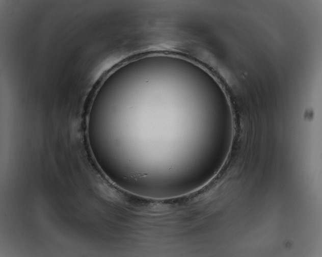 X0000101451308200807071356
