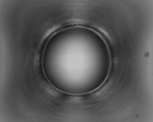 X0000101451309200807071356
