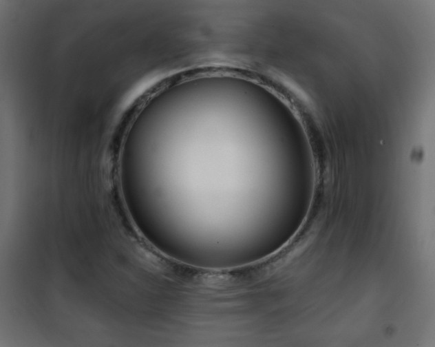 X0000101451310200807071356