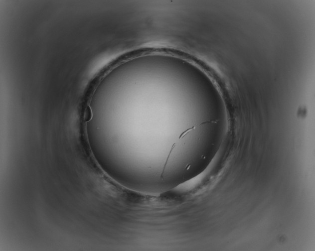 X0000101451311200807071356