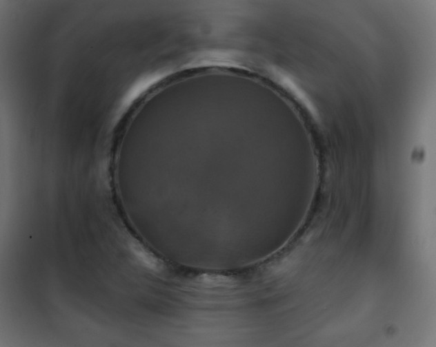 X0000101451312200807071356