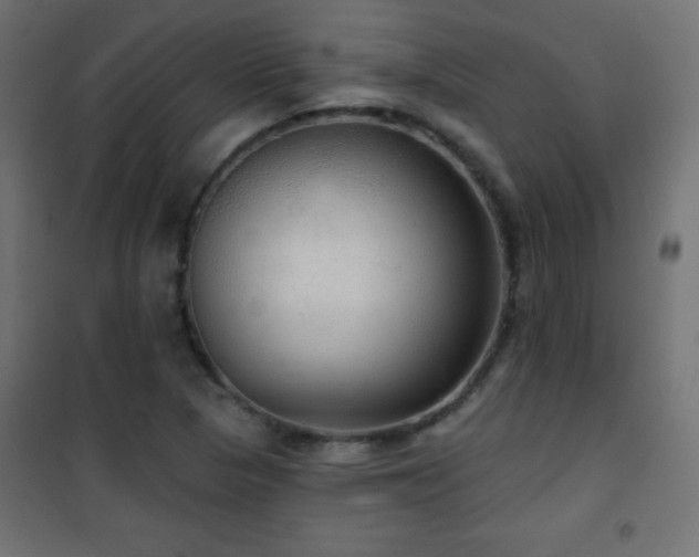 X0000101451313200807071356