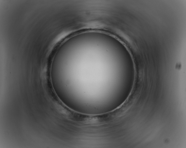 X0000101451315200807071356
