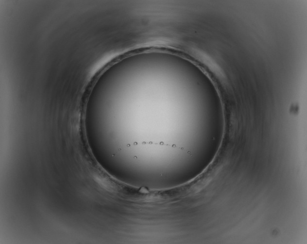 X0000101451316200807071356